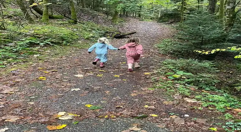 Cottage in Cornimont