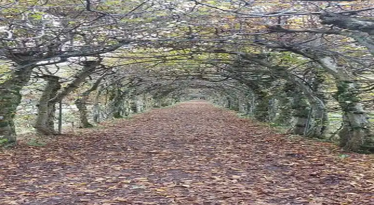 Sommerhus i Spaloumont