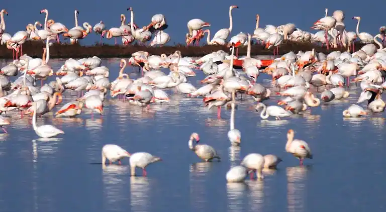 Husvagn  i Lido di Spina