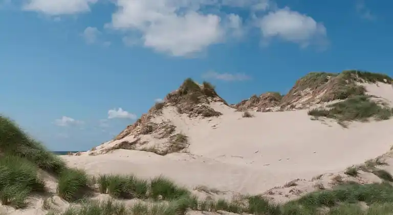 Holiday home in Egmond aan Zee