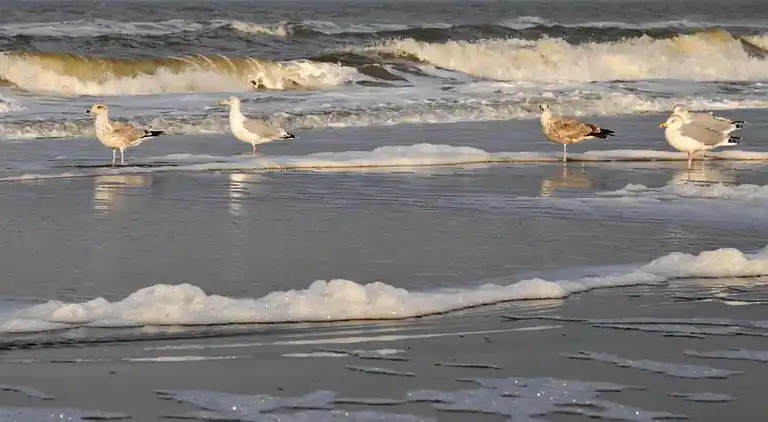 Holiday home in Egmond aan Zee