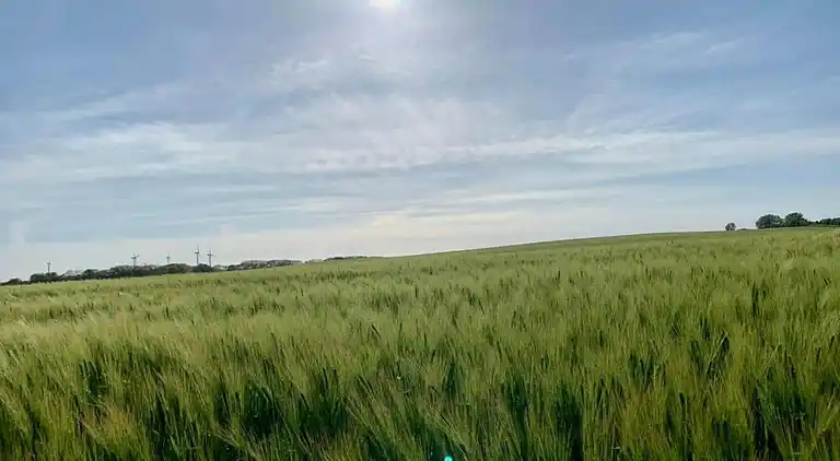 Ferielejlighed i Neubukow