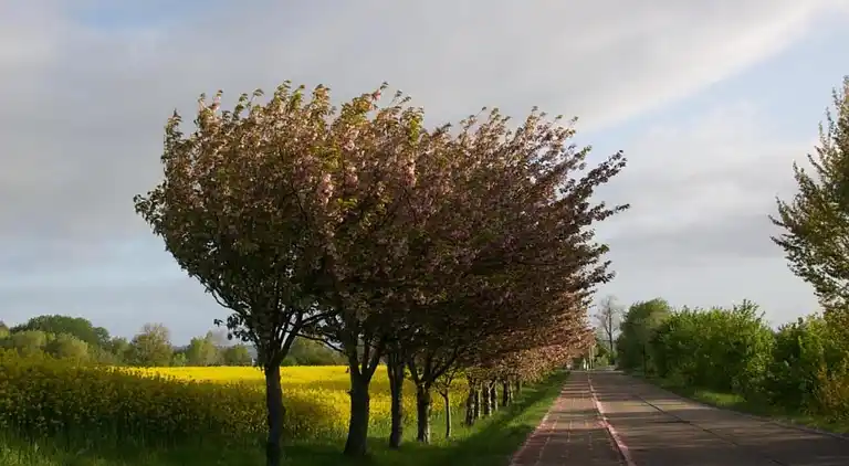 Holiday home in Kücknitz