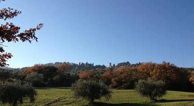 Holiday home in Piegaro