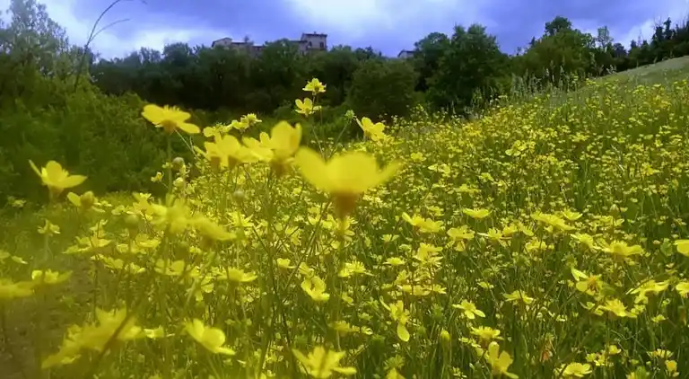 Holiday home in Piegaro