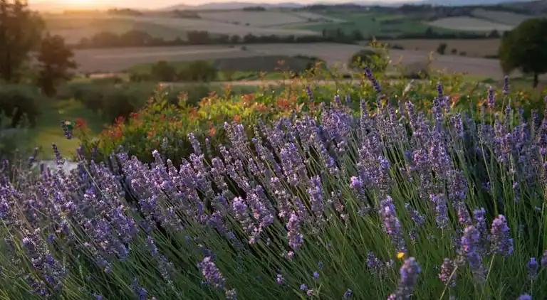 Holiday home in Piegaro