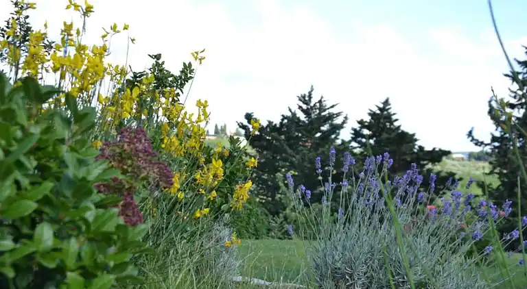 Holiday home in San Casciano in Val di Pesa