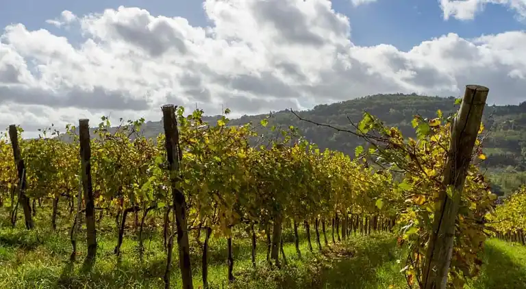 Holiday home in San Casciano in Val di Pesa