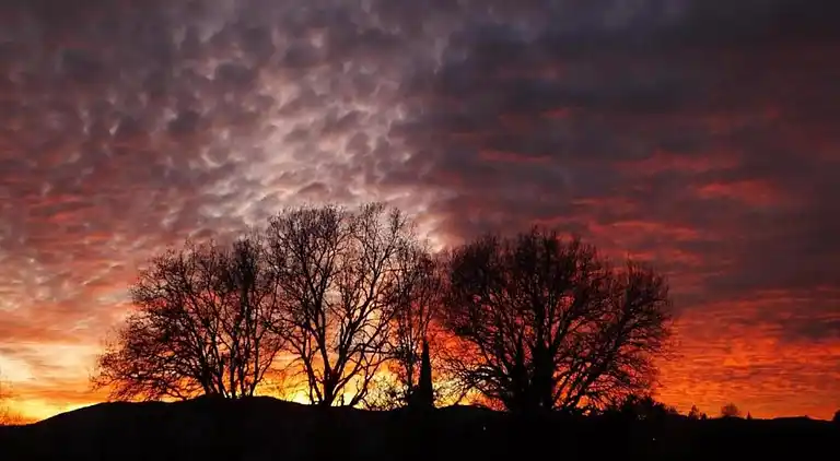 Sommerhus i Montespertoli