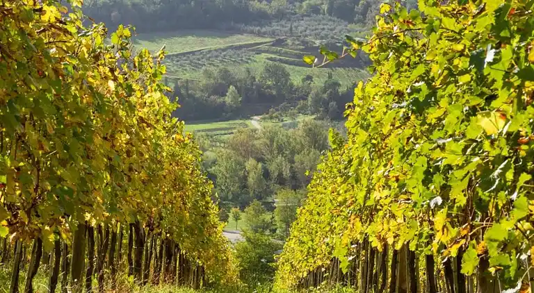 Holiday home in San Casciano in Val di Pesa