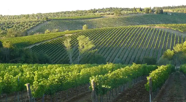 Apartamento en Anghiari