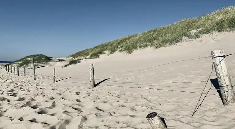 Sommerhus i Callantsoog