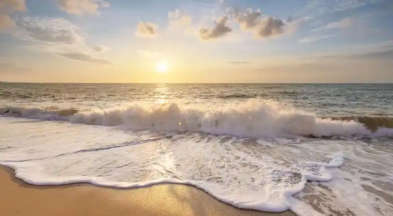 Sommerhus i Callantsoog