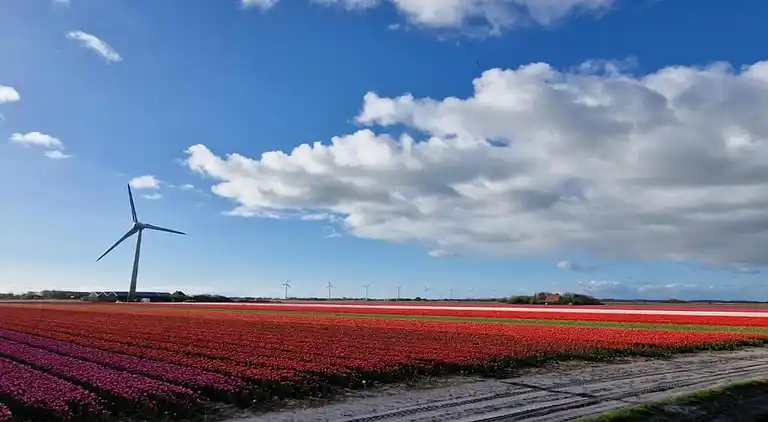Sommerhus i Callantsoog