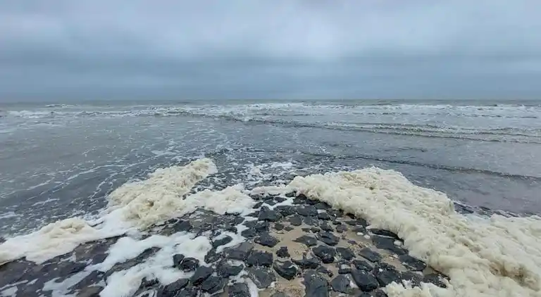 Ferielejlighed i Callantsoog