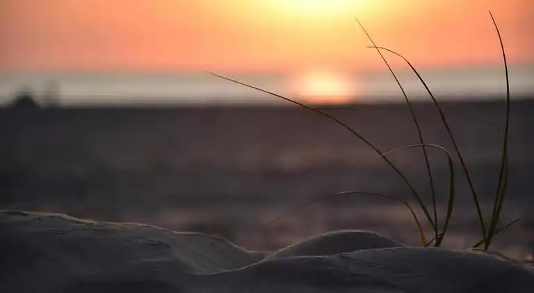 Sommerhus i Callantsoog