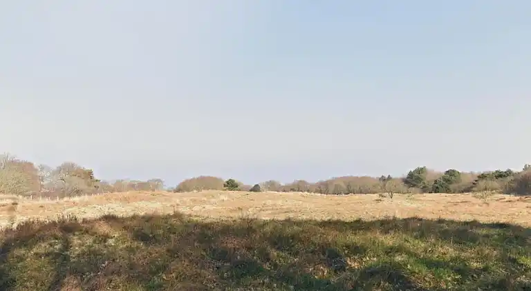 Ferielejlighed i Callantsoog