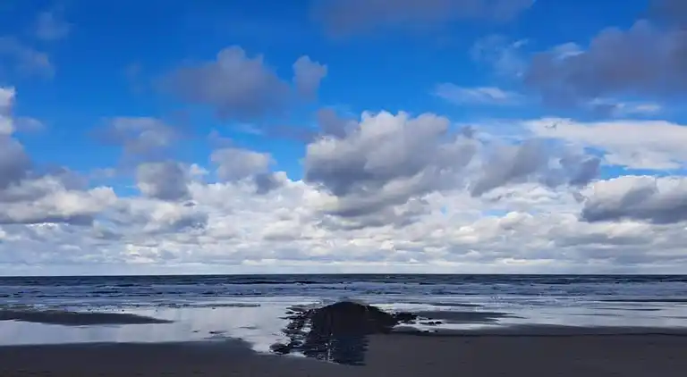 Sommerhus i Callantsoog