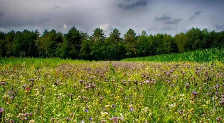 Ferienhaus in Ravenstein