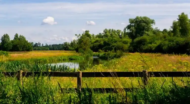 Ferienhaus in Ravenstein