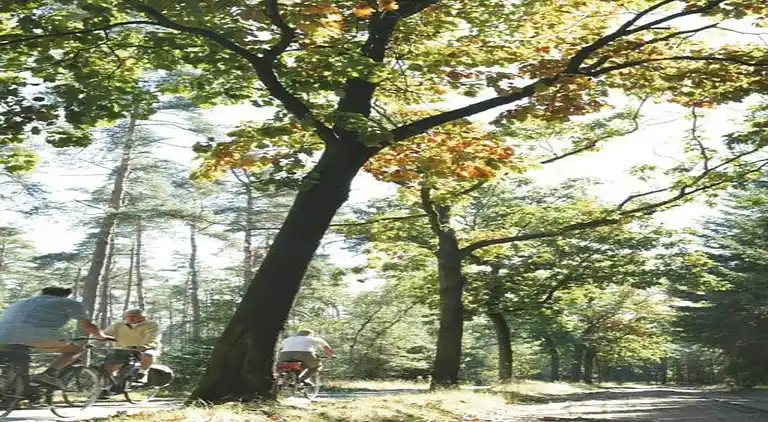 Ferienhaus in Ravenstein