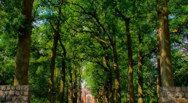 Ferienhaus in Ravenstein