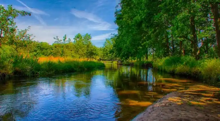 Ferienhaus in Ravenstein