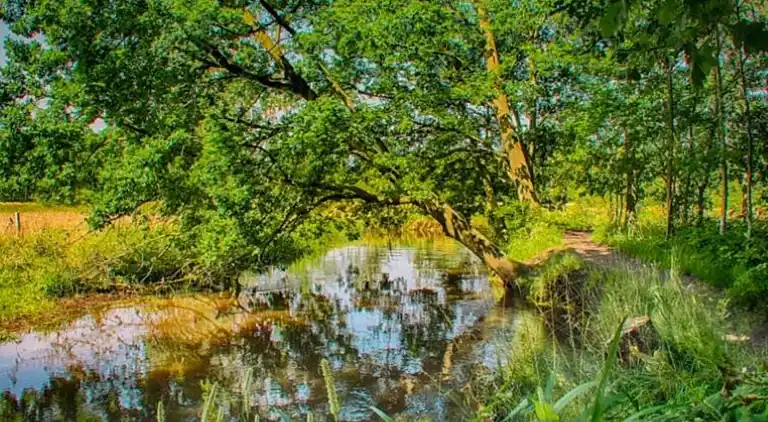 Ferienhaus in Ravenstein