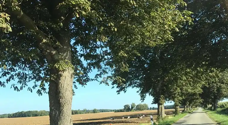 Appartement in Viecheln