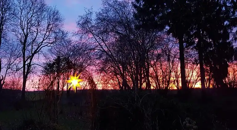 Appartement in Viecheln