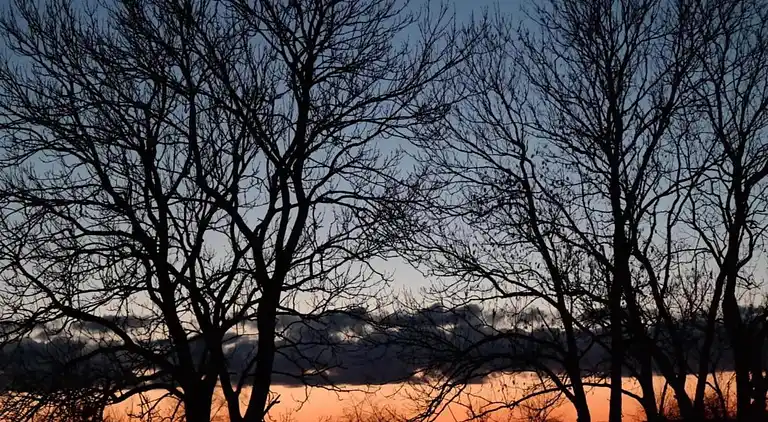 Appartement in Viecheln