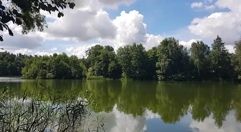 Appartement in Viecheln