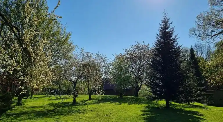 Appartement in Viecheln