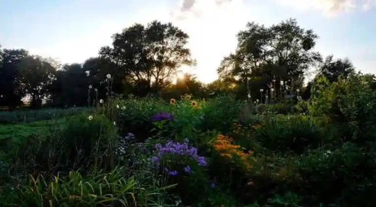 Appartement in Viecheln