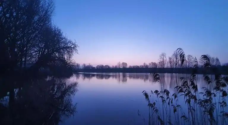 Appartement in Viecheln