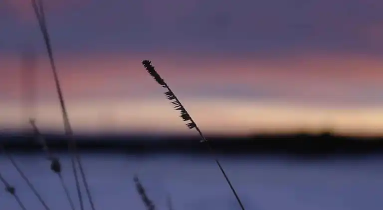 Holiday home in Neudorf