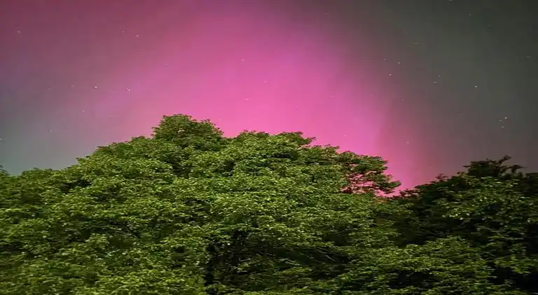 Holiday home in Neudorf