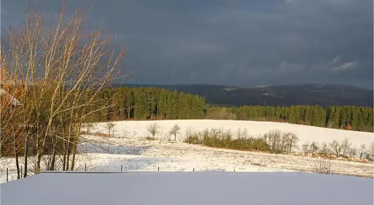 Holiday home in Neudorf