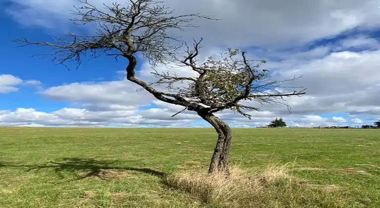 Holiday home in Neudorf