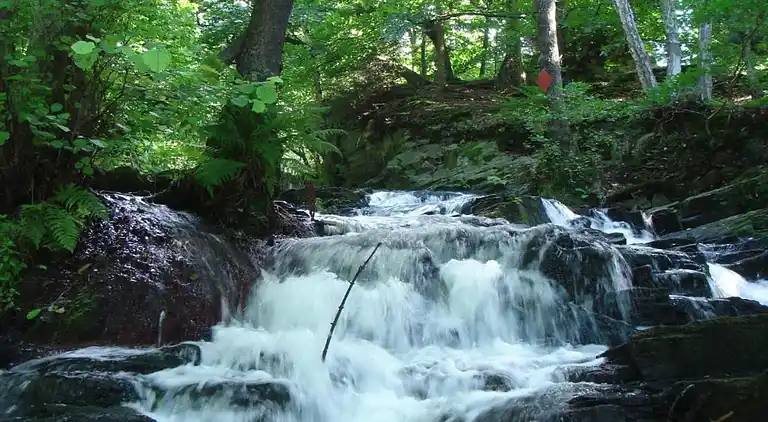 Holiday home in Neudorf