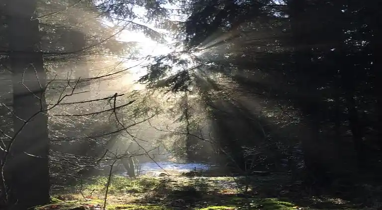 Holiday home in Neudorf