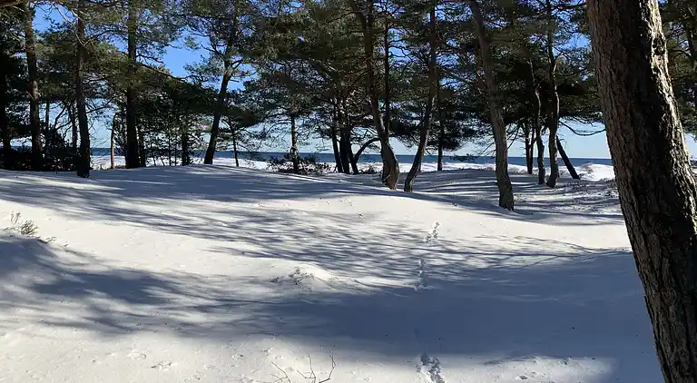 Feriehus nær stranden – perfekt til afslapning