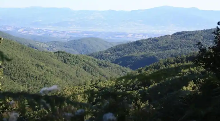 Holiday home in Trevine