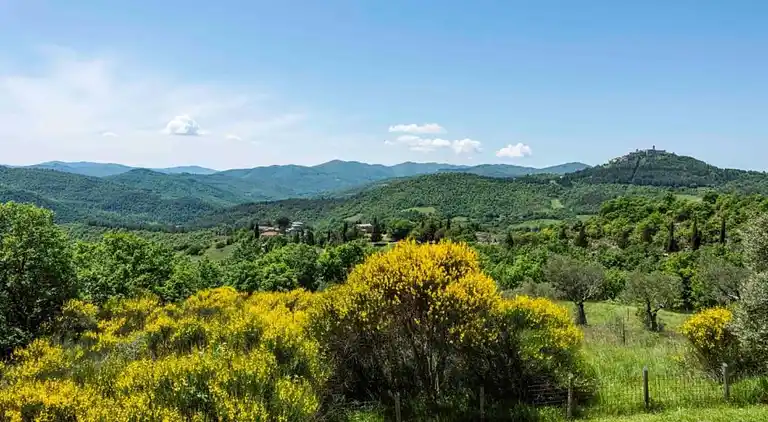 Holiday home in Trevine