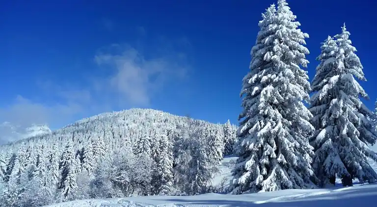 Cottage in Les Houches