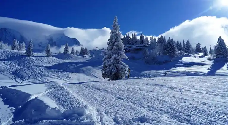 Cottage in Les Houches