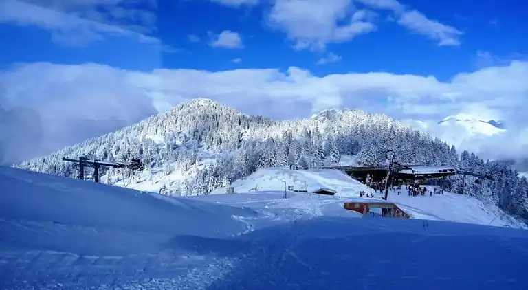 Cottage in Les Houches