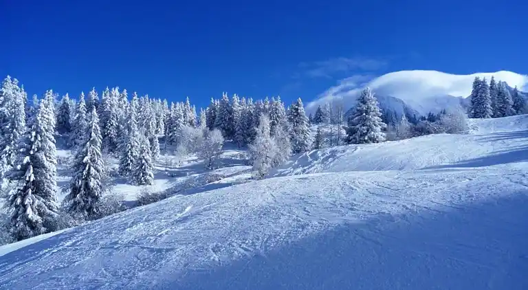 Cottage in Les Houches