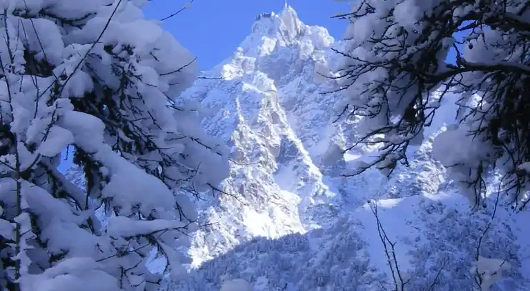 Cottage in Les Houches