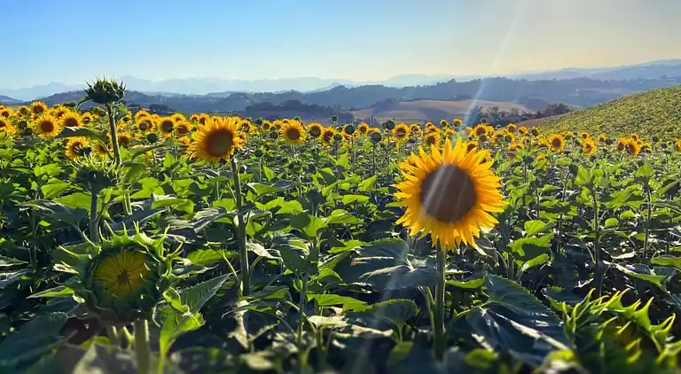 Hytte i Roccafluvione